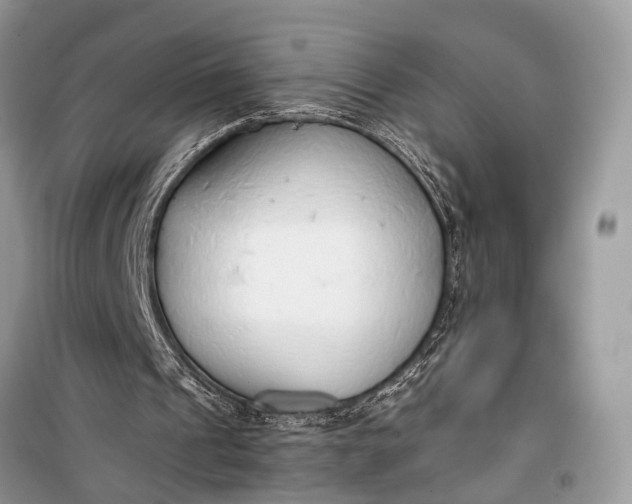 X0000099300241200805161355