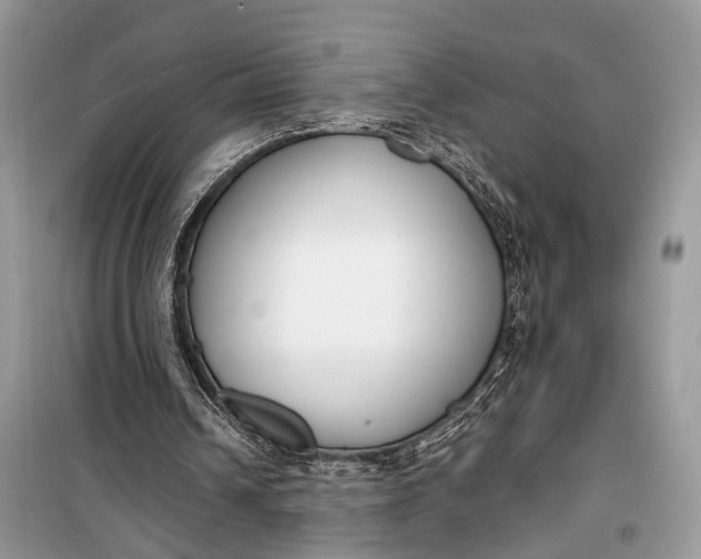 X0000099300242200805161355