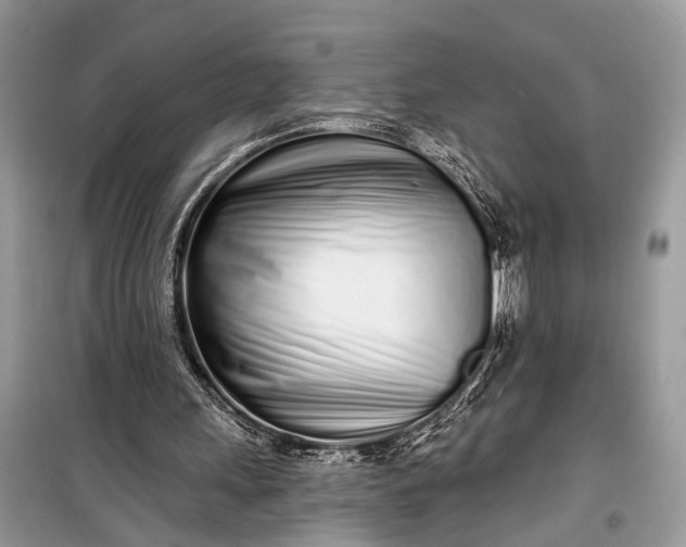 X0000099300243200805161355