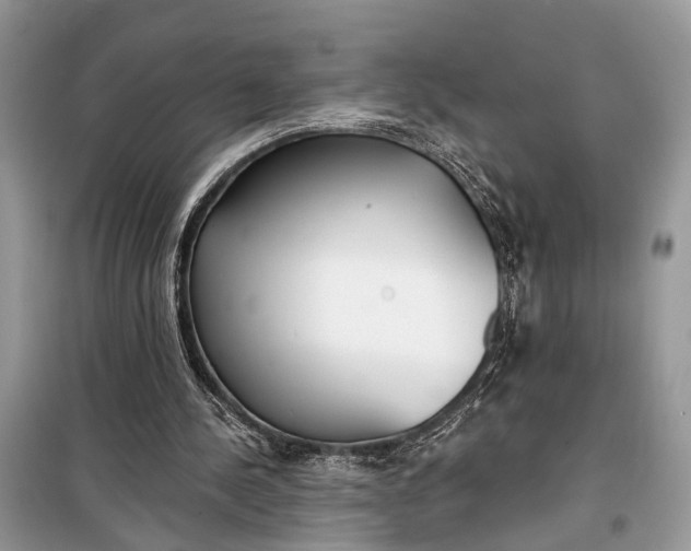 X0000099300244200805161355