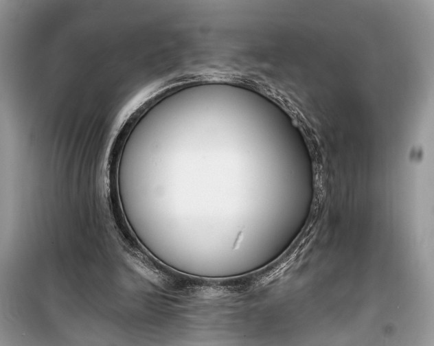 X0000099300246200805161355