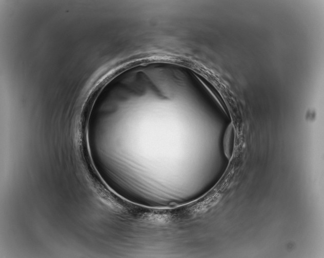 X0000099300247200805161355