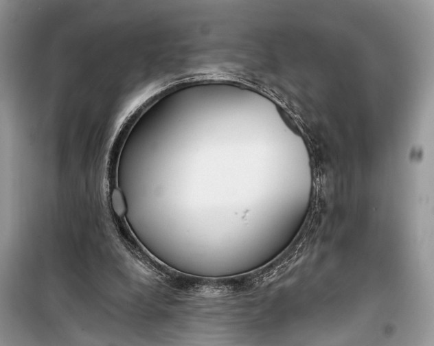 X0000099300248200805161355