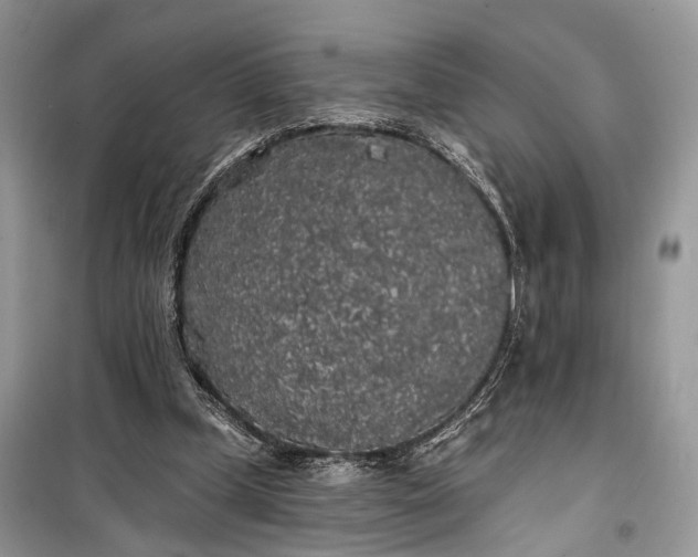 X0000099300249200805161355