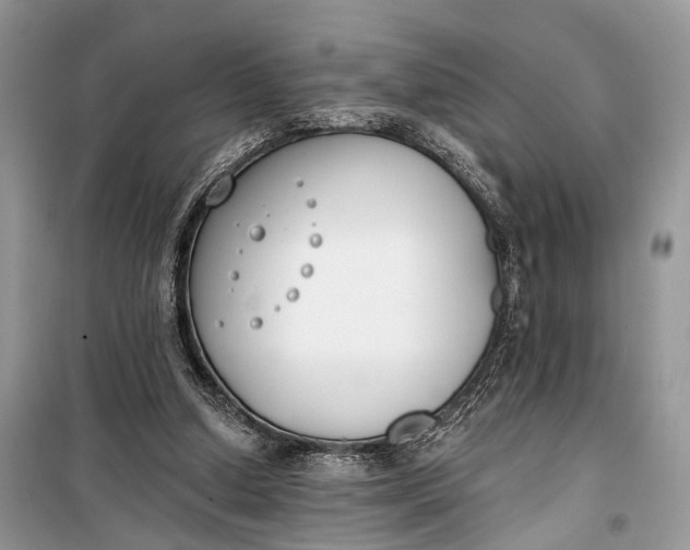 X0000099300250200805161355