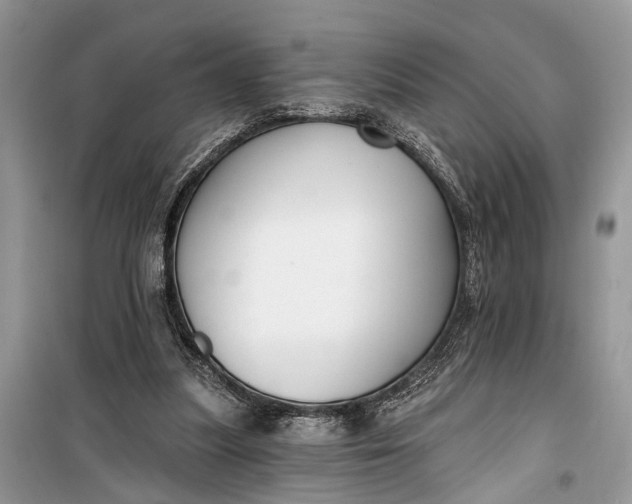 X0000099300251200805161355