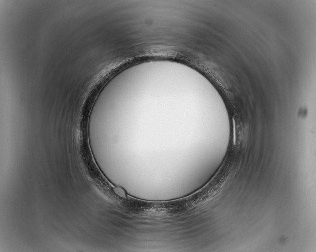 X0000099300252200805161355