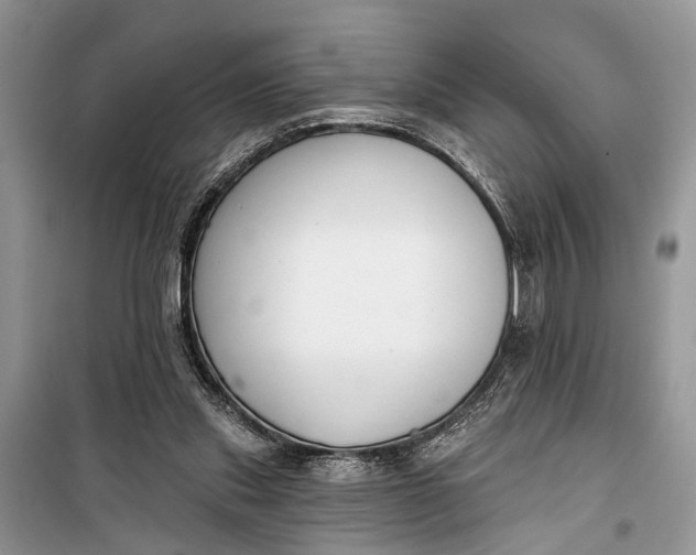 X0000099300253200805161355