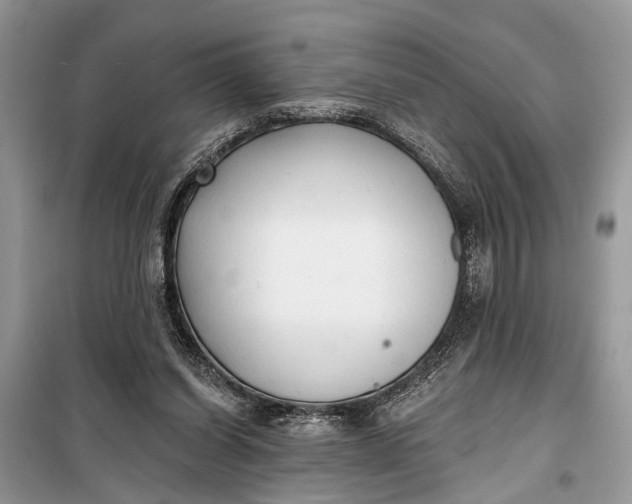 X0000099300254200805161355