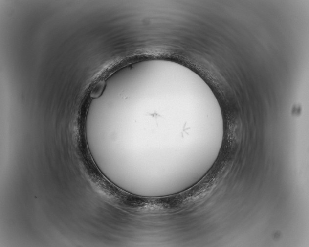 X0000099300256200805161355