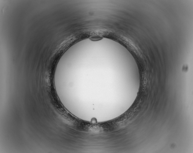 X0000099300258200805161355