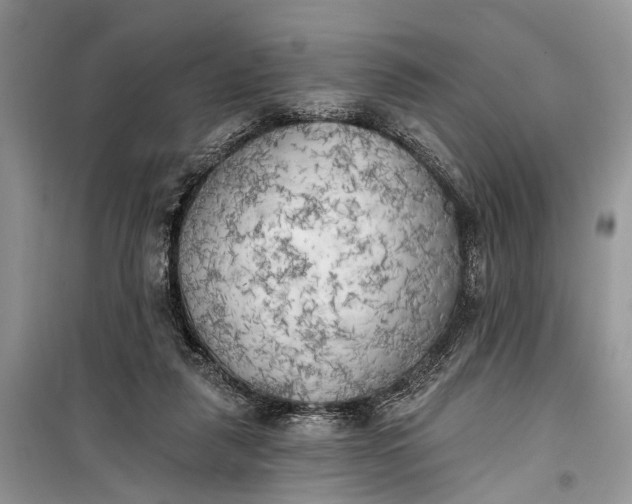 X0000099300259200805161355