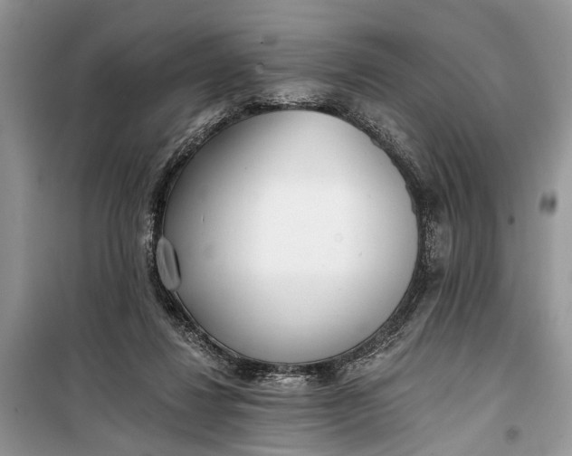 X0000099300260200805161356