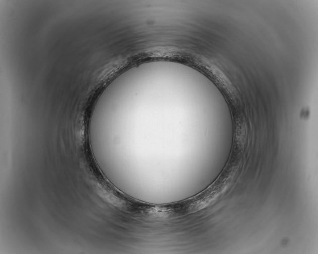 X0000099300261200805161356