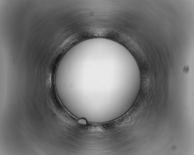 X0000099300262200805161356