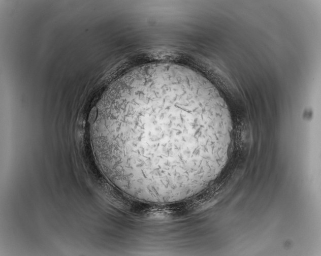 X0000099300263200805161356