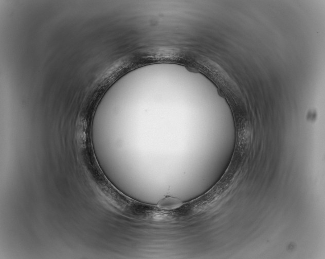 X0000099300264200805161356