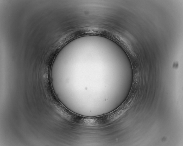 X0000099300265200805161356