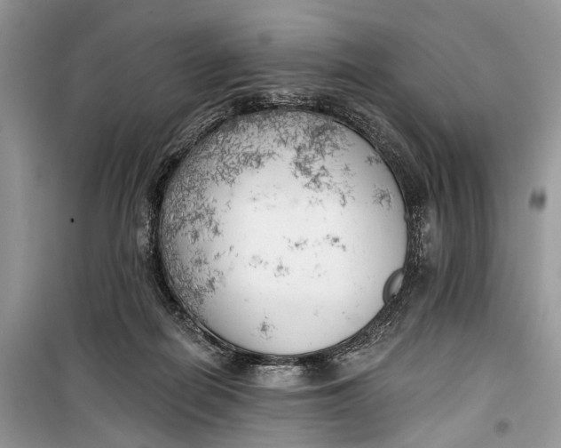 X0000099300266200805161356