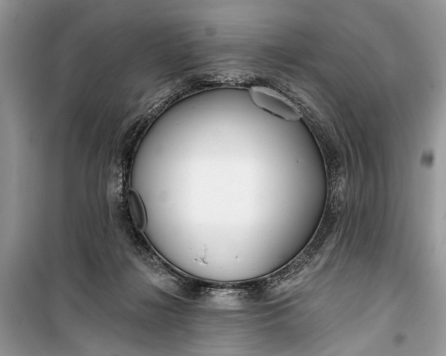 X0000099300268200805161356