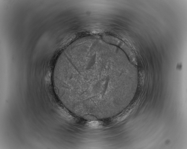 X0000099300269200805161356