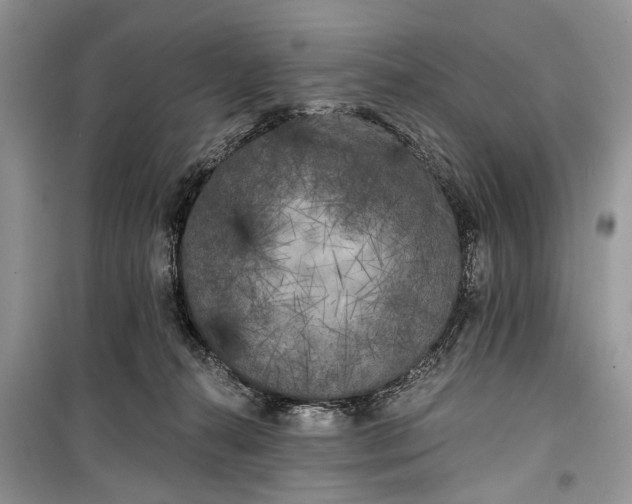 X0000099300272200805161356