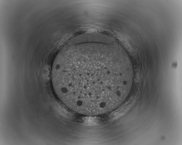 X0000099300273200805161356