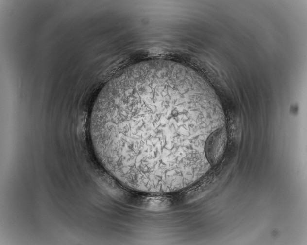 X0000099300275200805161356