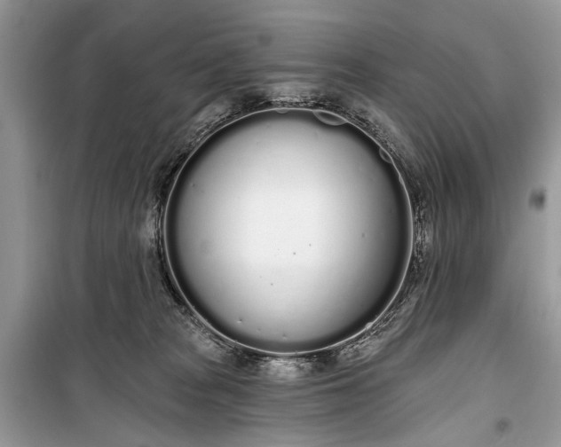 X0000099300277200805161356