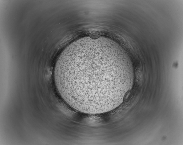 X0000099300278200805161356