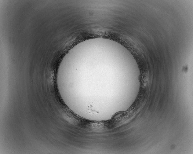 X0000099300279200805161356