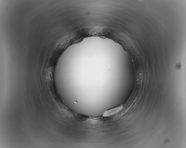 X0000099300280200805161356