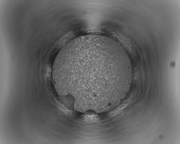 X0000099300281200805161356