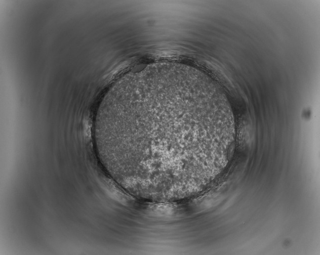 X0000099300282200805161356