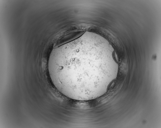 X0000099300283200805161356