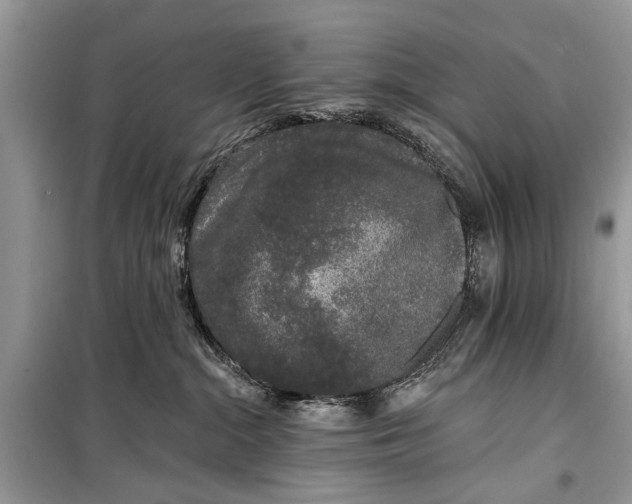 X0000099300284200805161356