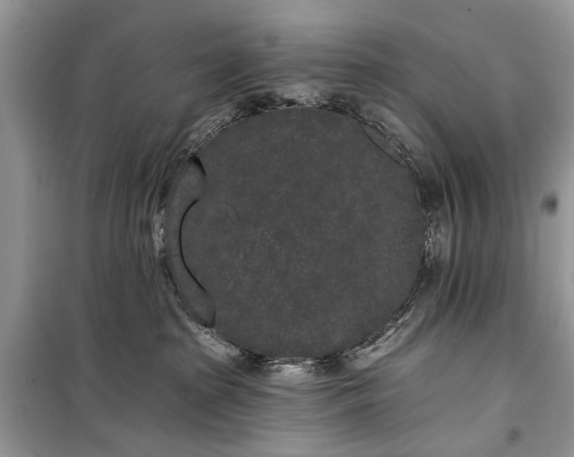 X0000099300285200805161356