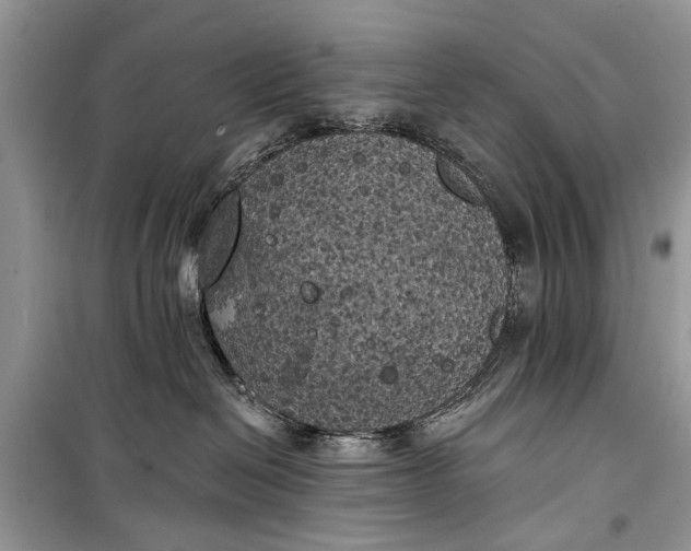 X0000099300286200805161356