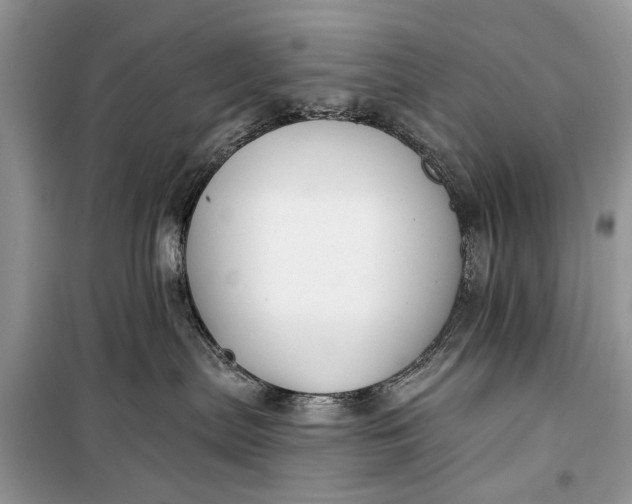 X0000099300287200805161356