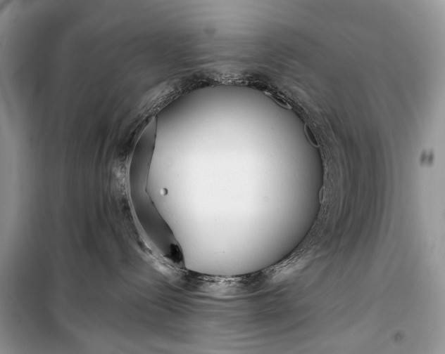 X0000099300288200805161356