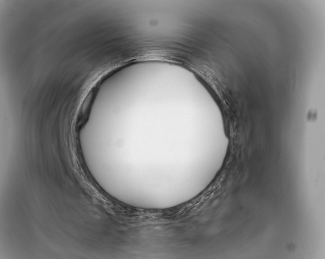 X0000099300289200805161355