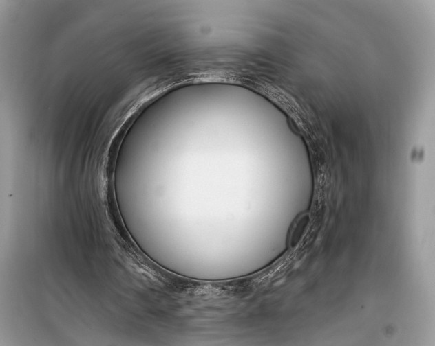 X0000099300290200805161355