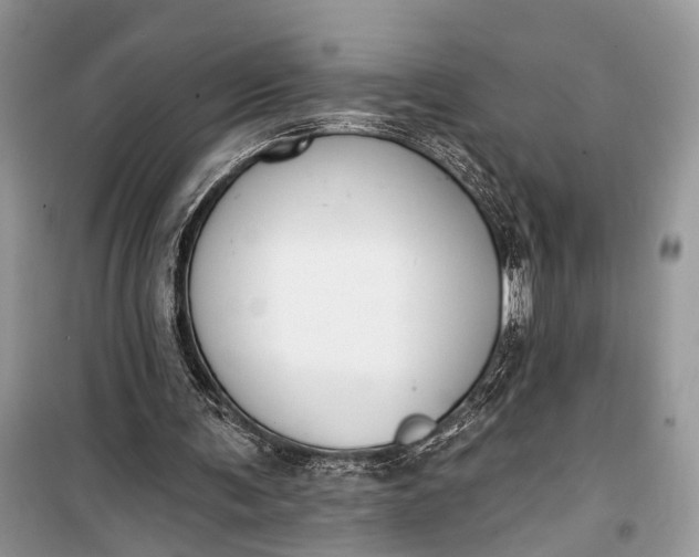 X0000099300291200805161355