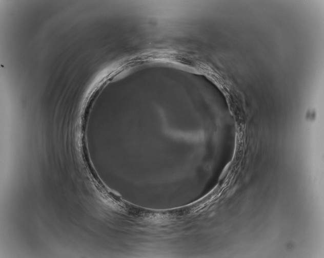 X0000099300293200805161355