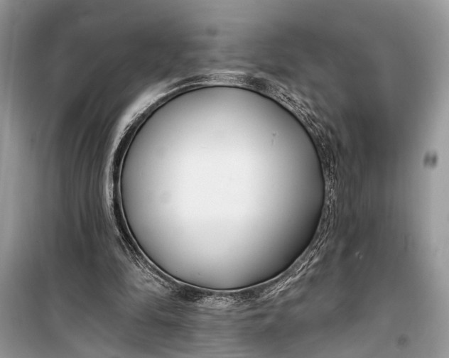 X0000099300294200805161355