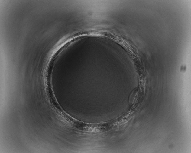 X0000099300295200805161355