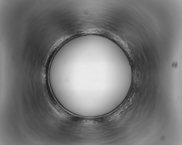 X0000099300298200805161355