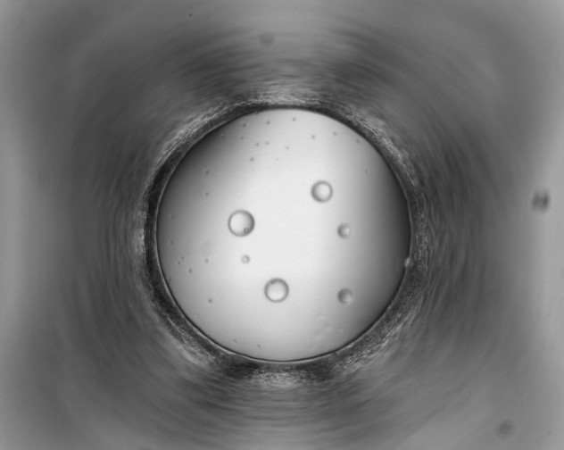 X0000099300299200805161355