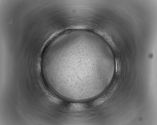 X0000099300300200805161355