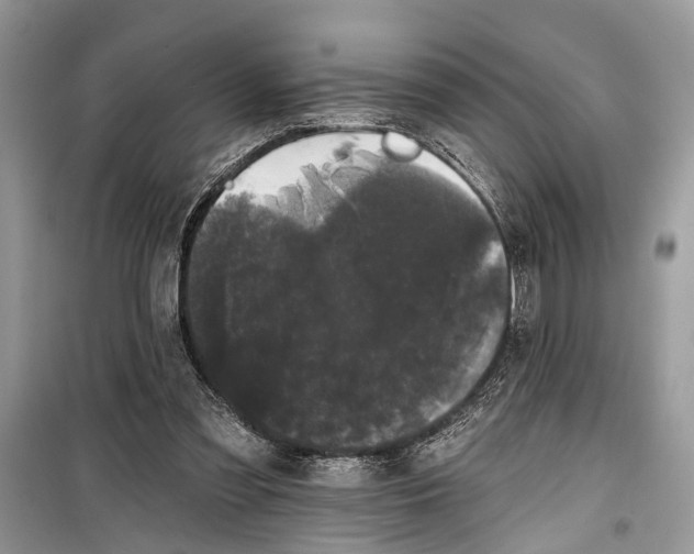 X0000099300301200805161355